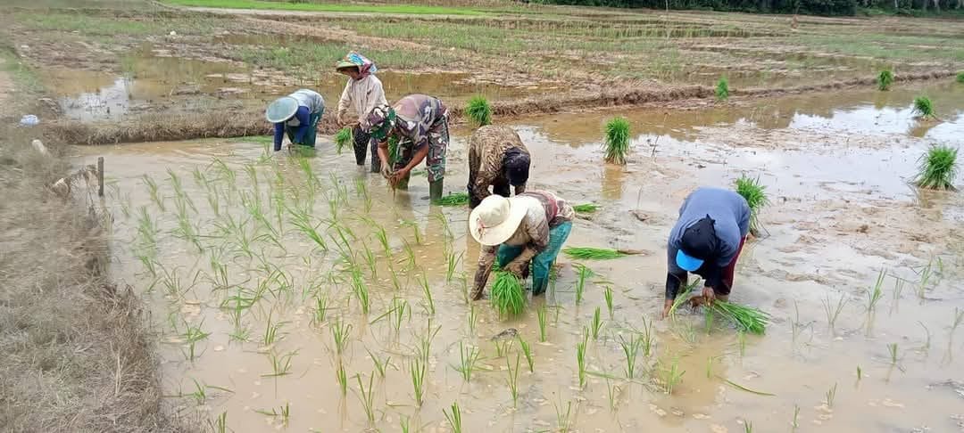 Perluasan Lahan Pertanian di PPU