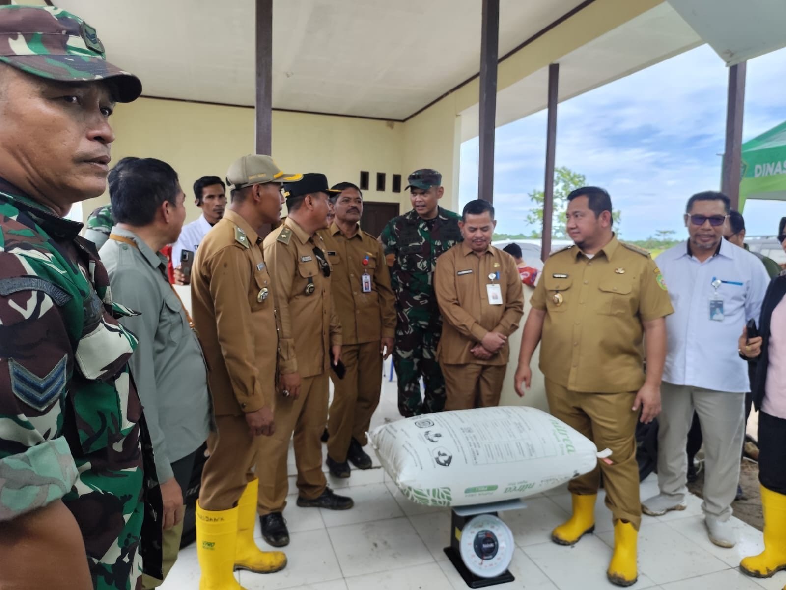 MUTU GABAH. Bupati PPU, Mudyat Noor beserta sejumlah pejabat melakukan pengecekan timbangan gabah hasil panen padi.