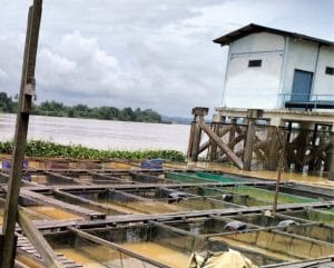 Sektor Perikanan di Desa Embalut, Kukar. Foto Mia/Seantero.id