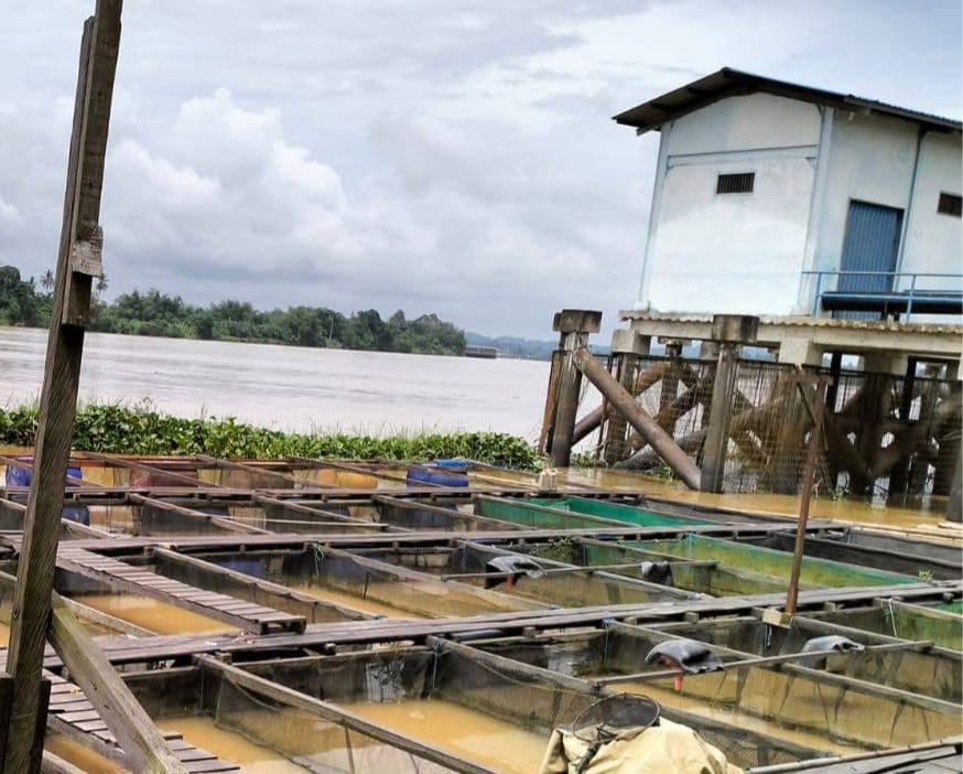 Sektor Perikanan di Desa Embalut, Kukar. Foto Mia/Seantero.id