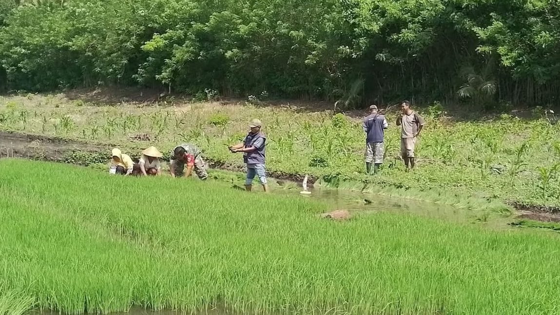 Petani Desa Segihan, Kukar. Foto Mia/Seantero.id