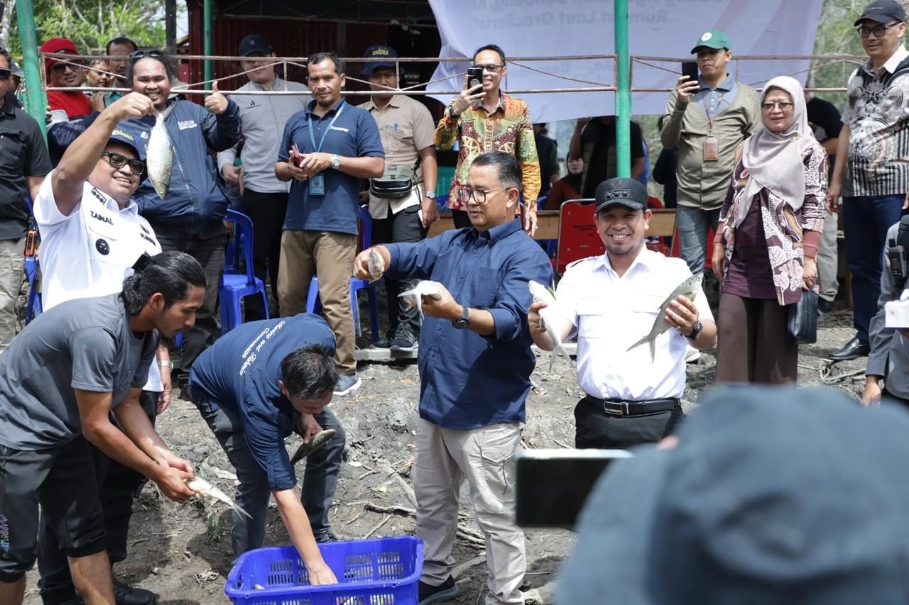 MAMPU MENGATASI. Ketersediaan ikan di PPU masih jauh di atas kebutuhan masyarakat, sehingga mencatat surplus produksi setiap tahunnya.