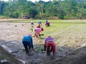 Kawasan pertanian yang ada di Kecamatan Tenggarong Seberang.