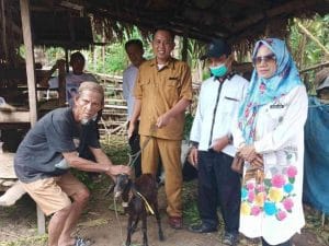 Bantuan Ternak di Desa Loa Raya, Kukar.