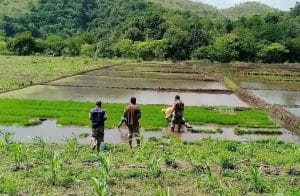 Petani Desa Loa Raya, Kukar.