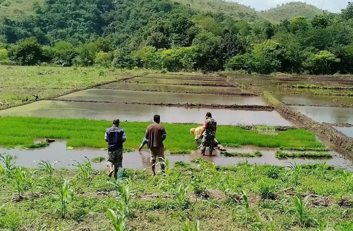 Petani Desa Loa Raya, Kukar.