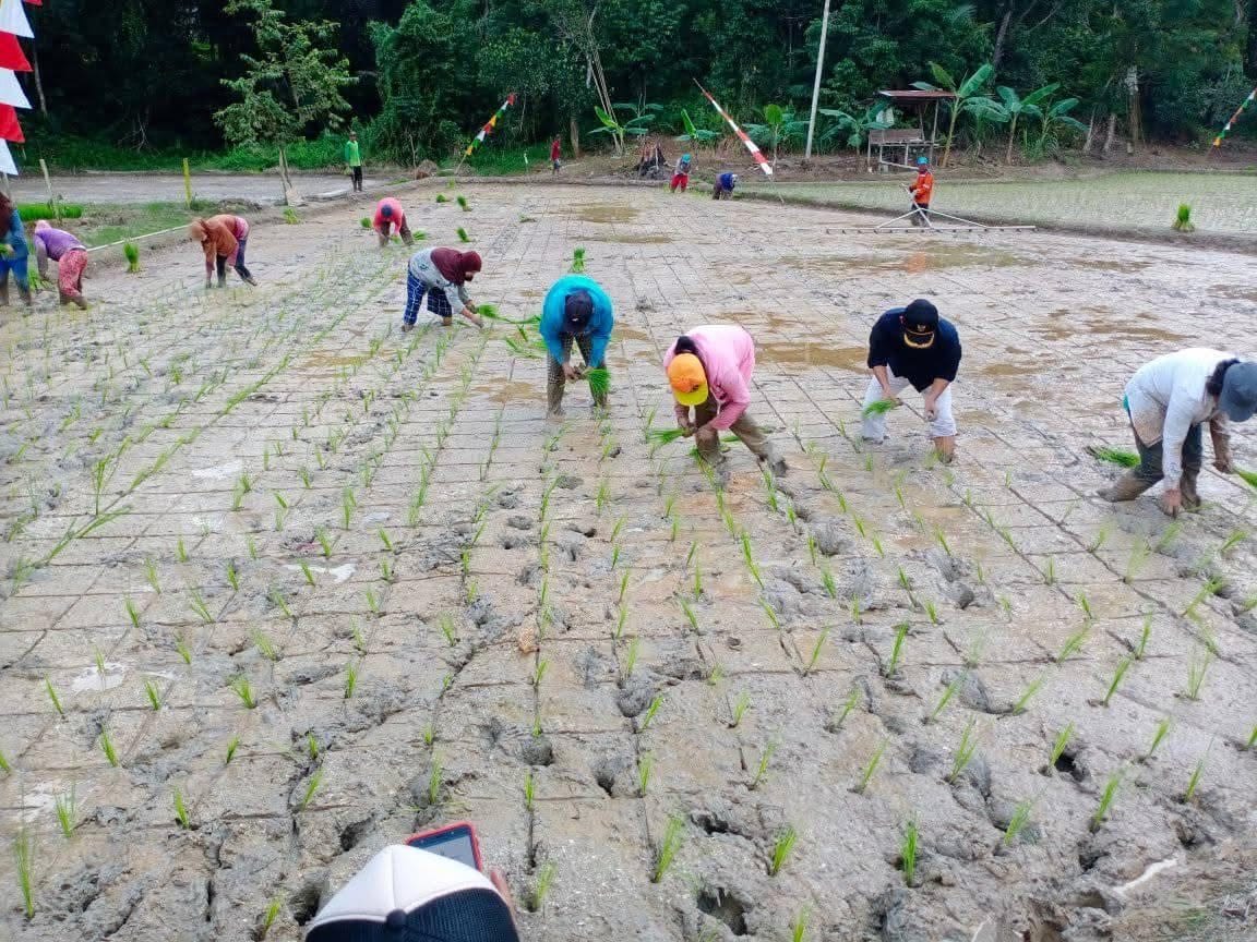 Petani Desa Segihan, Kukar.