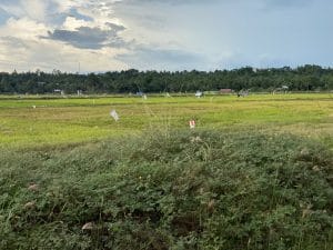 Lahan Pertanian di Kabupaten Kukar.