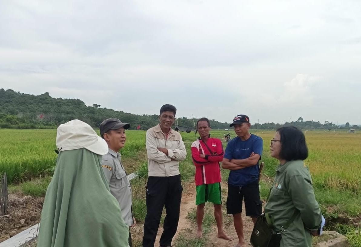 Petani Padi di Desa Suka Maju, Kukar.